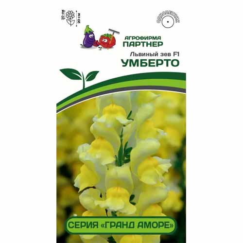 Львиный Зев Гранд Аморе Умберто F1 Партнер изображение 1 артикул 40810