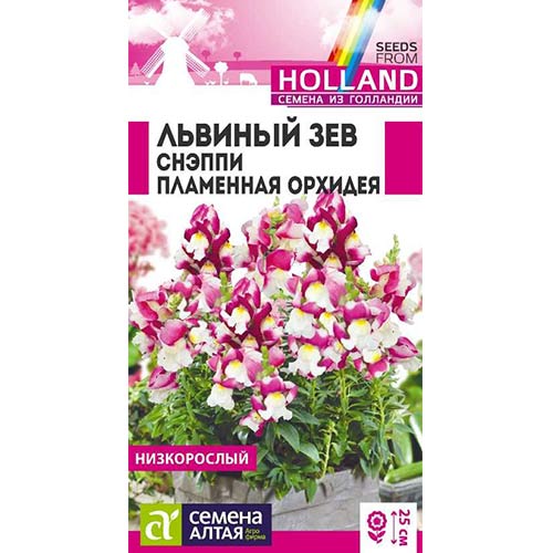 Львиный зев Снэппи Пламенная орхидея Семена Алтая изображение 1 артикул 78250
