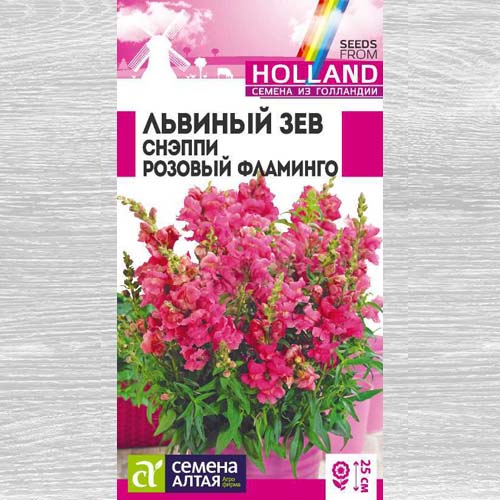 Львиный зев Снэппи Розовый фламинго изображение 1 артикул 78254