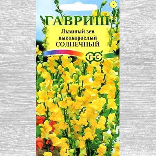 Львиный зев Солнечный Гавриш изображение 1 артикул 82406