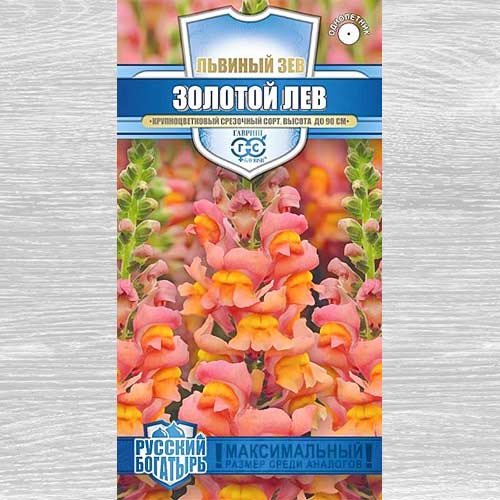 Львиный зев Золотой лев Гавриш изображение 1 артикул 82404