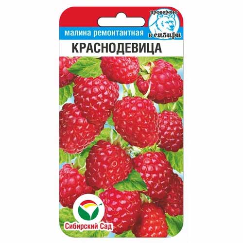 Малина Краснодевица Сибирский сад артикул фото 1 Малина Краснодевица Сибирский сад изображение 1 артикул 88112