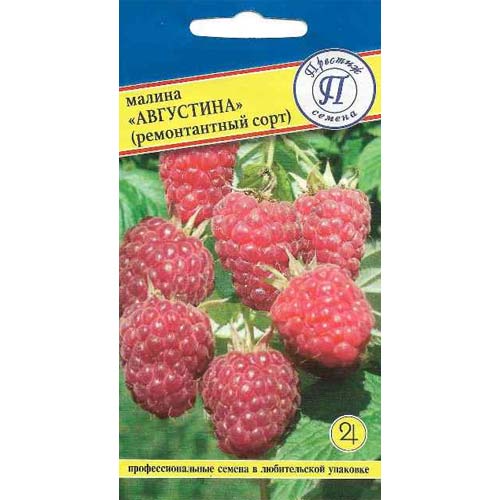 Малина ремонтантная Августина Престиж изображение 1 артикул 97982