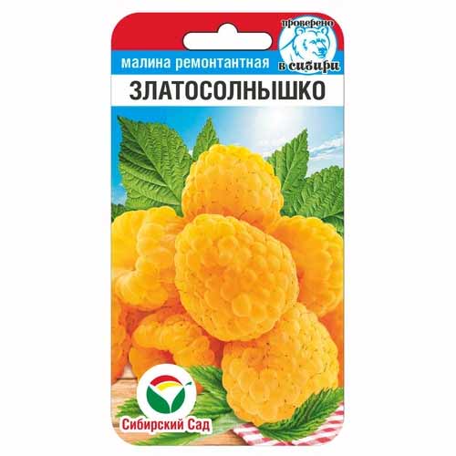 Малина Златосолнышко Сибирский сад изображение 1 артикул 88111