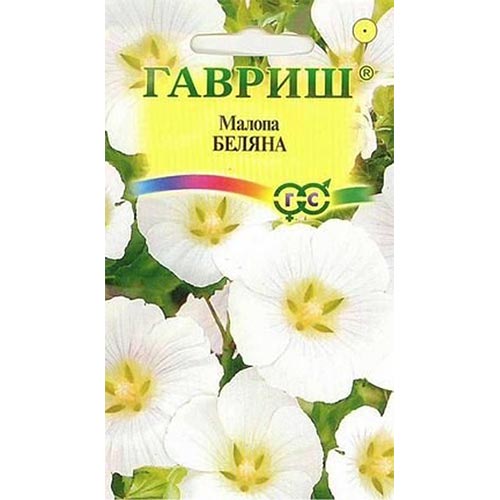 Малопа Беляна, семена изображение 1 артикул 92143