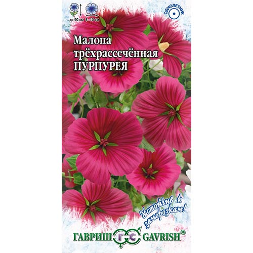 Малопа Пурпурея, семена артикул фото 1 Малопа Пурпурея, семена изображение 1 артикул 92144