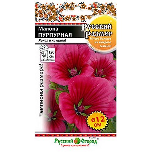 Малопа Русский Размер пурпурная, семена изображение 1 артикул 92561