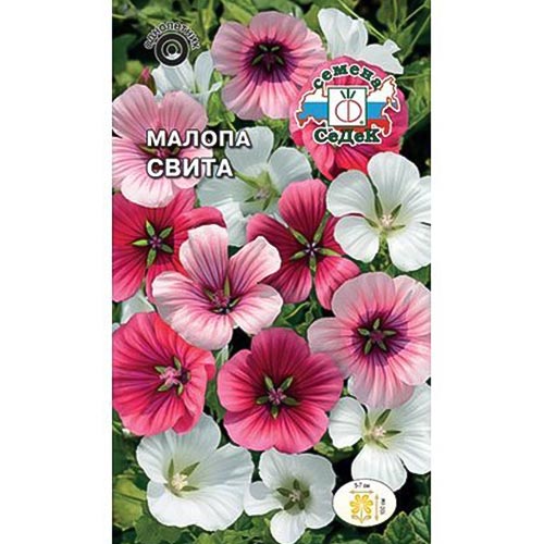 Малопа Свита, смесь окрасок изображение 1 артикул 93895