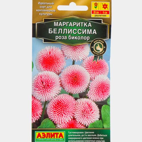 Маргаритка Беллиссима роза биколор Аэлита изображение 1 артикул 87923