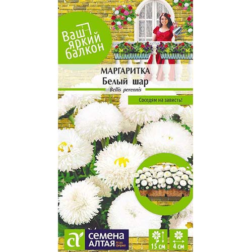 Маргаритка Белый шар Семена Алтая изображение 1 артикул 81693