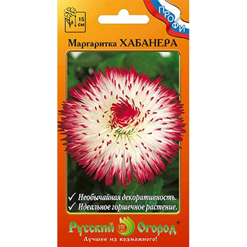 Маргаритка Хабанера, семена артикул фото 1 Маргаритка Хабанера, семена изображение 1 артикул 92569
