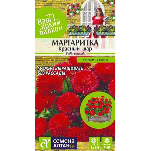 Маргаритка Красный шар Семена Алтая изображение 1 артикул 81694