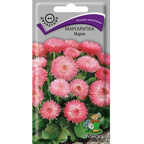 Маргаритка Мария, семена артикул фото 1 Маргаритка Мария, семена изображение 1 артикул 93043