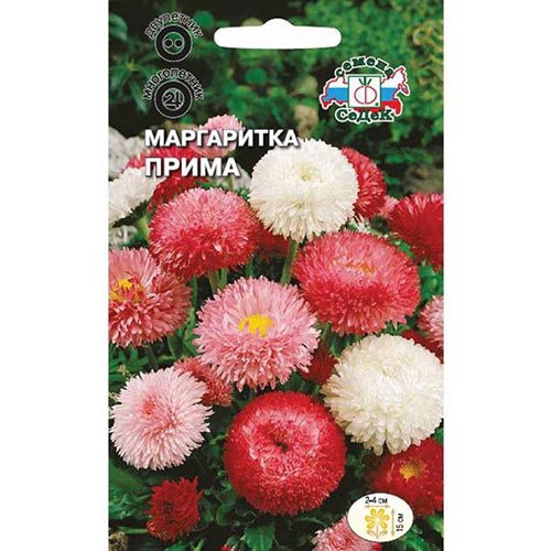 Маргаритка Прима, смесь окрасок артикул фото 1 Маргаритка Прима, смесь окрасок изображение 1 артикул 93899