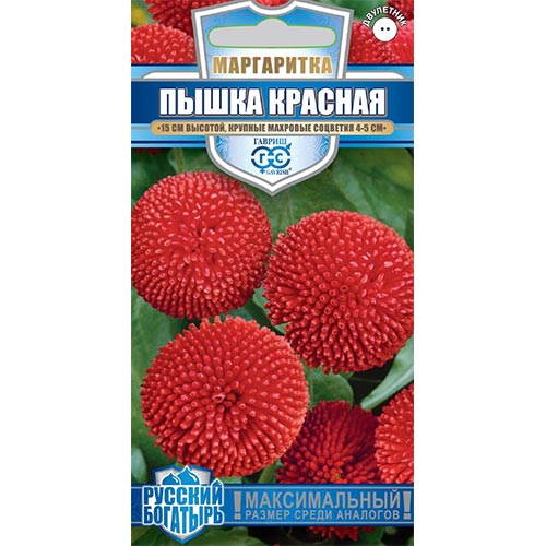 Маргаритка Пышка красная, семена артикул фото 1 Маргаритка Пышка красная, семена изображение 1 артикул 92150