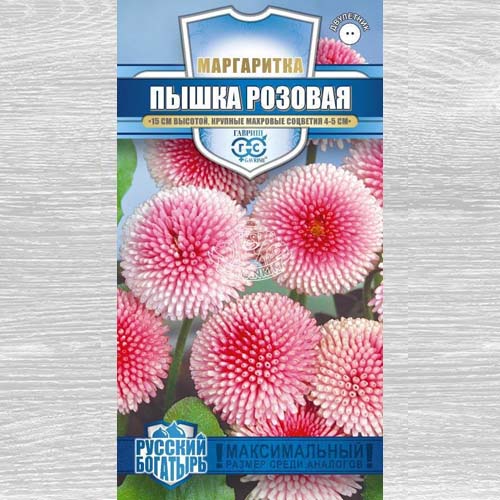Маргаритка Пышка розовая Гавриш изображение 1 артикул 73704