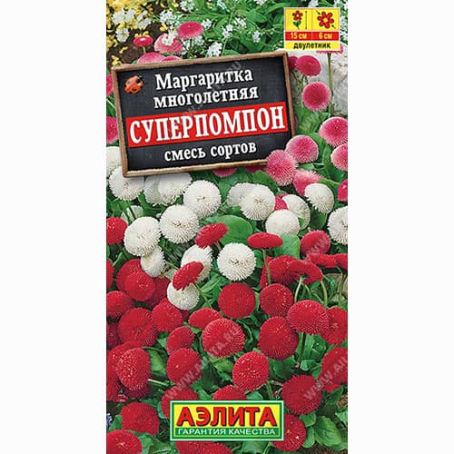 Маргаритка Суперпомпон, смесь окрасок Аэлита артикул фото 1 Маргаритка Суперпомпон, смесь окрасок Аэлита изображение 1 артикул 99005