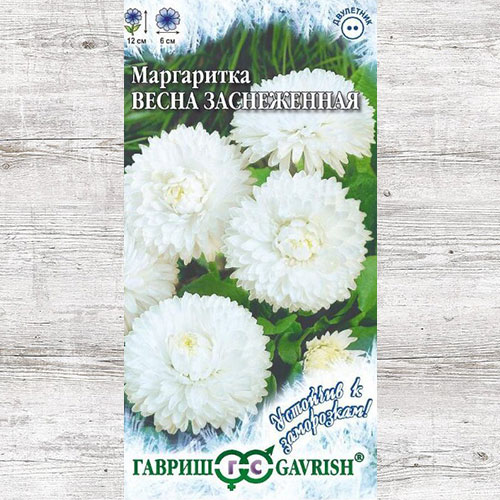 Маргаритка Весна заснеженная Гавриш изображение 1 артикул 66097