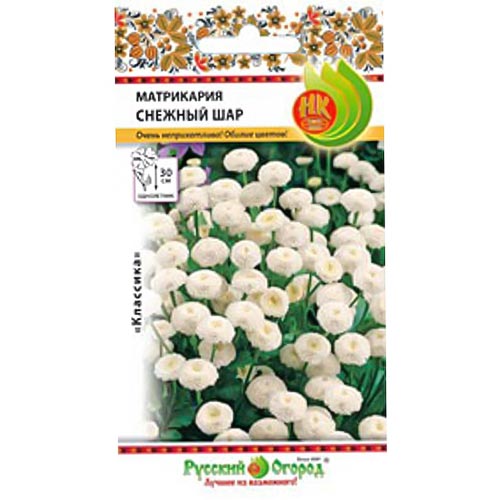 Матрикария Снежный шар, семена изображение 1 артикул 92570