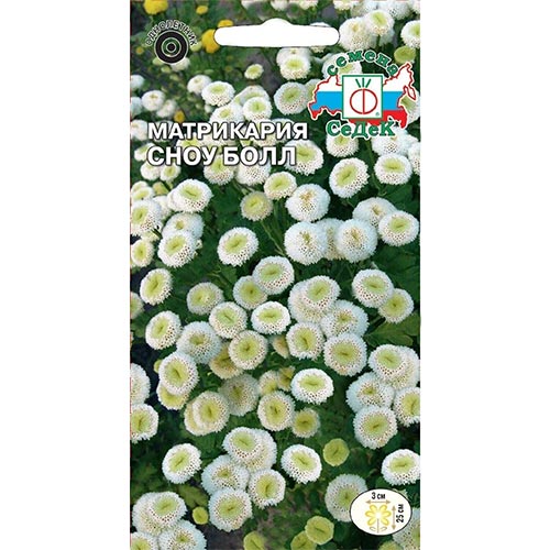 Матрикария Сноу Болл, семена изображение 1 артикул 93900