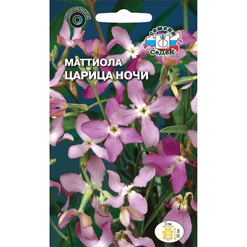 Маттиола двурогая Царица ночи, семена изображение 1 артикул 93901