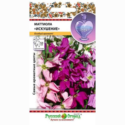 Маттиола двурогая Искушение, смесь окрасок Русский огород НК изображение 1 артикул 92572