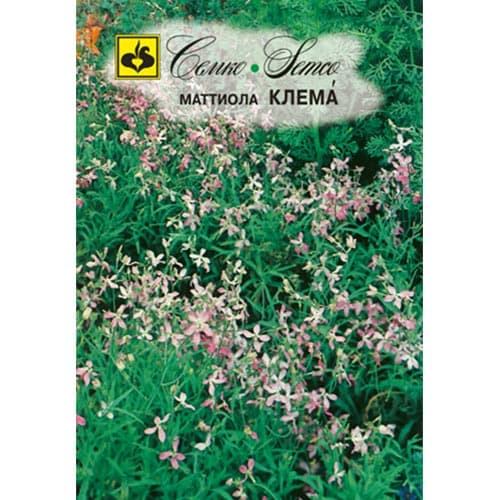 Маттиола двурогая Клема, семена изображение 1 артикул 94299
