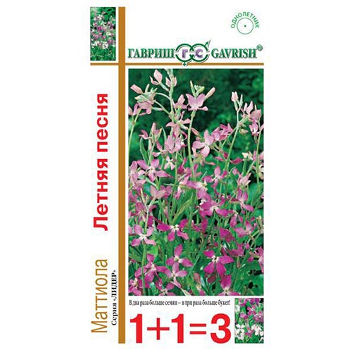 Маттиола двурогая Летняя песня, семена изображение 1 артикул 92153