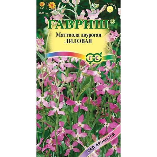 Маттиола двурогая Лиловая, семена изображение 1 артикул 92154