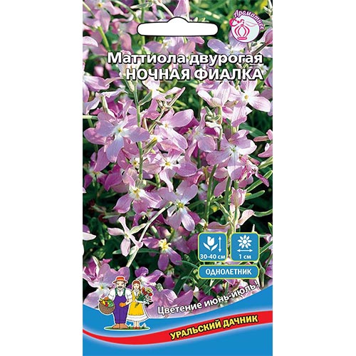Маттиола двурогая Ночная фиалка, семена изображение 1 артикул 94829