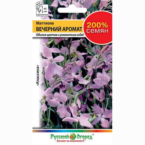 Маттиола двурогая Вечерний аромат Русский огород НК изображение 1 артикул 92571