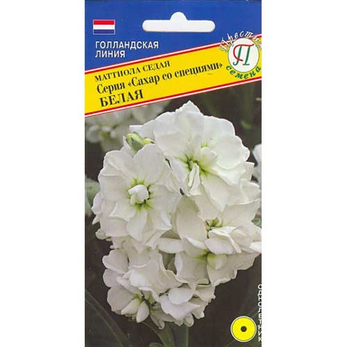 Маттиола седая Сахар со специями белая Престиж изображение 1 артикул 71479