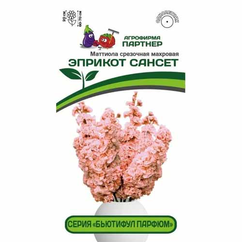 Маттиола срезочная махровая Бьютифул Парфюм Эприкот Сансет Партнер изображение 1 артикул 40819