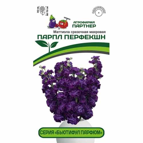 Маттиола срезочная махровая Бьютифул Парфюм Парпл Перфекшн Партнер изображение 1 артикул 40815