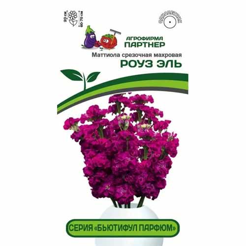 Маттиола срезочная махровая Бьютифул Парфюм Роуз Эль Партнер изображение 1 артикул 40817