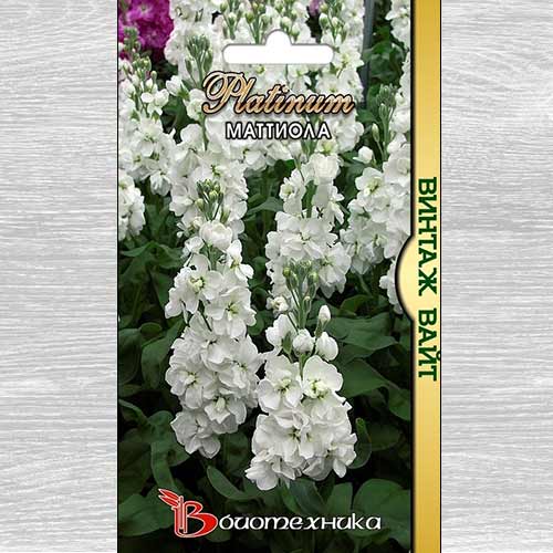 Маттиола Винтаж Вайт изображение 1 артикул 74835