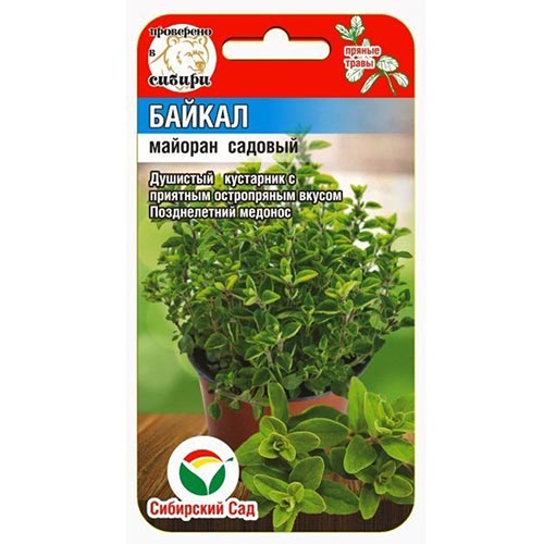 Майоран садовый Байкал, семена изображение 1 артикул 94360