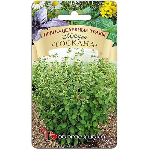 Майоран садовый Тоскана Биотехника изображение 1 артикул 97293