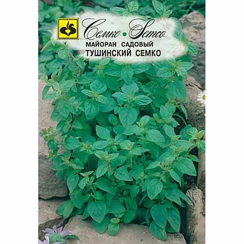 Майоран садовый Тушинский Семко Семко изображение 1 артикул 94253