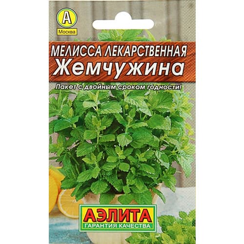 Мелисса лекарственная Жемчужина Аэлита изображение 1 артикул 98331