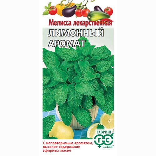 Мелисса лекарственная Лимонный аромат Гавриш изображение 1 артикул 65023