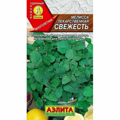 Мелисса лекарственная Свежесть Аэлита изображение 1 артикул 40097