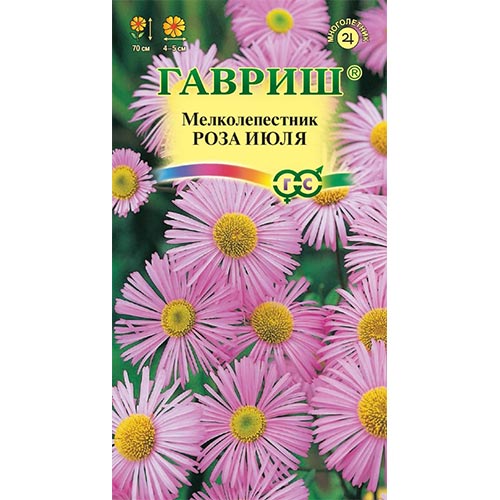 Мелколепестник Роза июля, семена изображение 1 артикул 92155