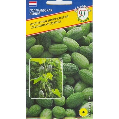Мелотрия (мышиная дыня) шероховатая Престиж изображение 1 артикул 97984