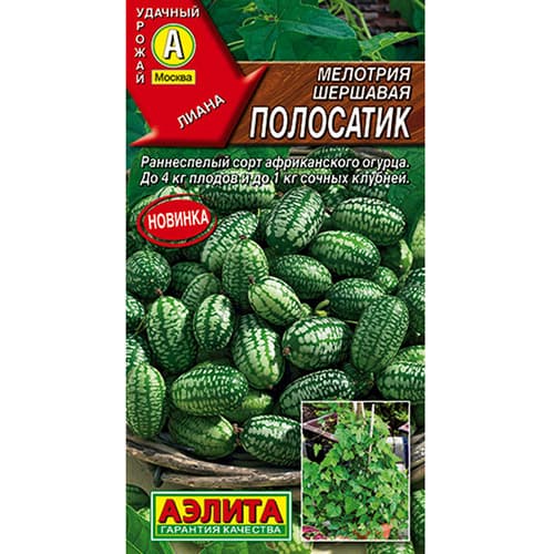 Мелотрия Полосатик Аэлита изображение 1 артикул 98336