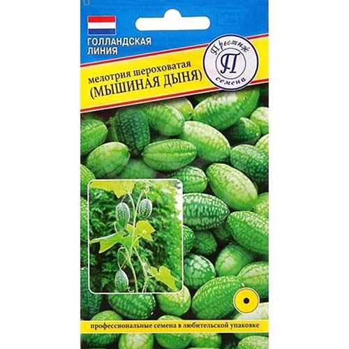 Мелотрия шероховатая Престиж артикул фото 1 Мелотрия шероховатая Престиж изображение 1 артикул 71382