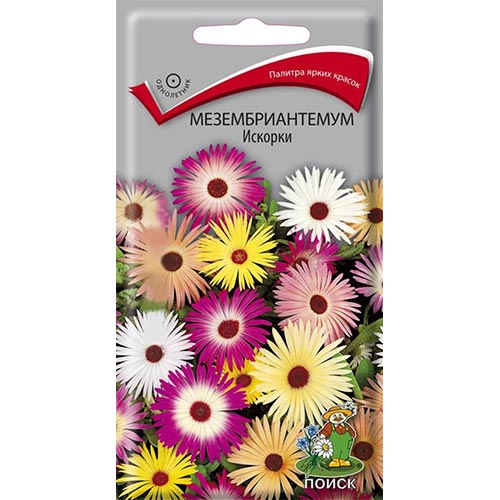 Мезембриантемум Искорки, смесь окрасок изображение 1 артикул 93049