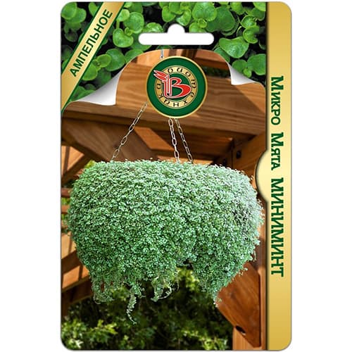 Мята микро Миниминт Биотехника изображение 1 артикул 74009