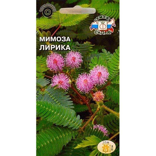Мимоза стыдливая Лирика, семена изображение 1 артикул 93903