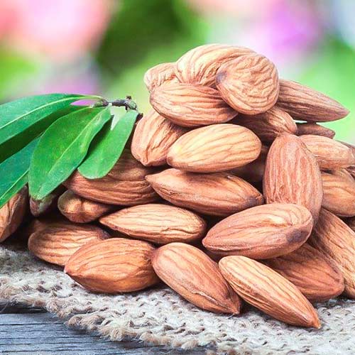 Миндаль Монтерей изображение 1 артикул 4204